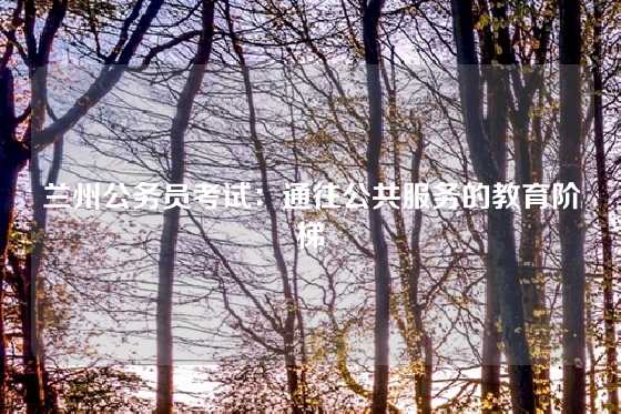 兰州公务员考试：通往公共服务的教育阶梯