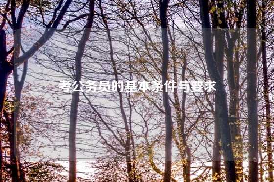 考公务员的基本条件与要求