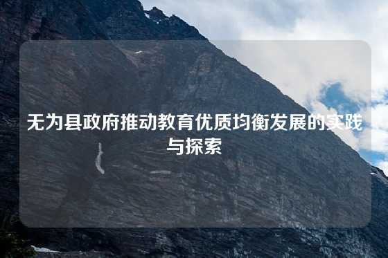 无为县政府推动教育优质均衡发展的实践与探索