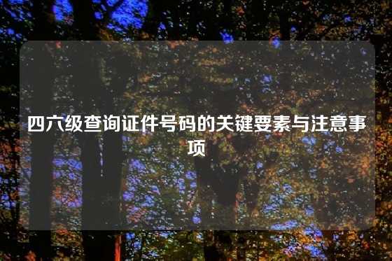 四六级查询证件号码的关键要素与注意事项
