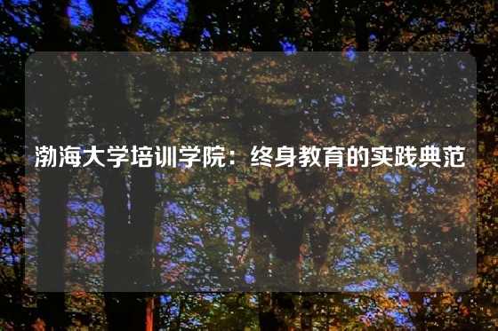 渤海大学培训学院：终身教育的实践典范