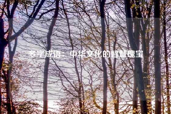 多字成语：中华文化的智慧瑰宝