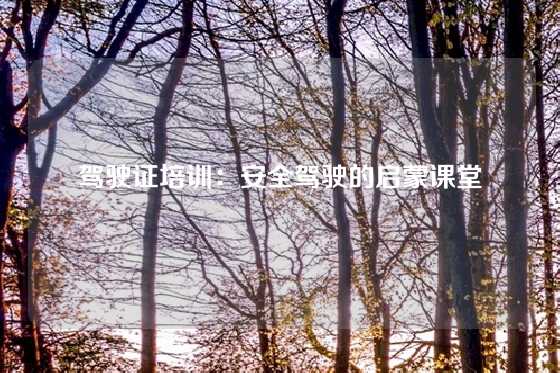 驾驶证培训:安全驾驶的启蒙课堂