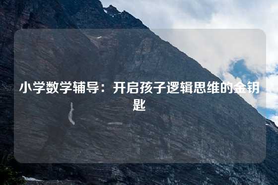 小学数学辅导：开启孩子逻辑思维的金钥匙