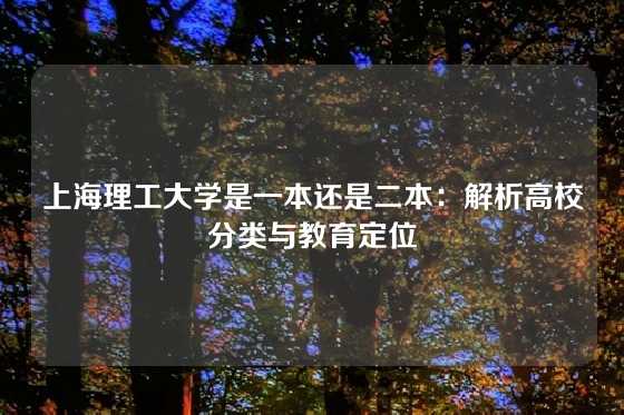 上海理工大学是一本还是二本：解析高校分类与教育定位