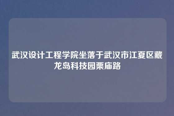 武汉设计工程学院坐落于武汉市江夏区藏龙岛科技园栗庙路