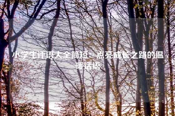 小学生评语大全简短：点亮成长之路的温暖话语