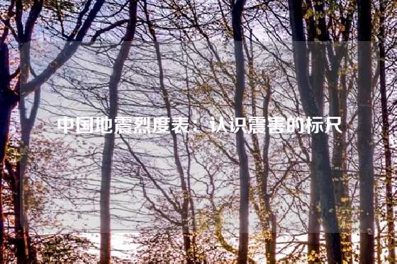 中国地震烈度表：认识震害的标尺